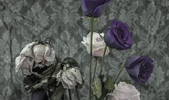Dead Flowers