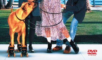 Правда о кошках и собаках