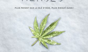 Плохие семена