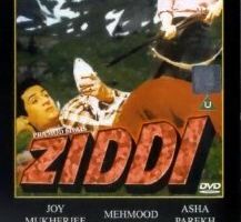 Ziddi