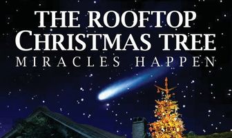 Ёлка на крыше