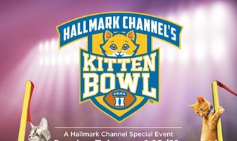 Kitten Bowl II