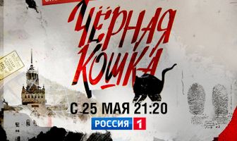 Черная кошка