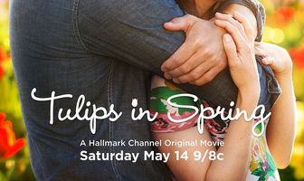 Тюльпаны для Розы