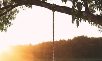 Мертвое лето