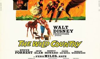 Повеса за городом