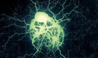 Биение пульса