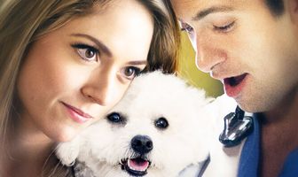 Добрый сосед