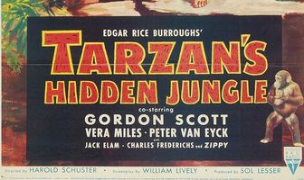 Приключения Тарзана в джунглях