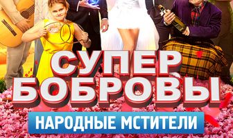 СуперБобровы. Народные мстители