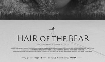 Hair of the Bear