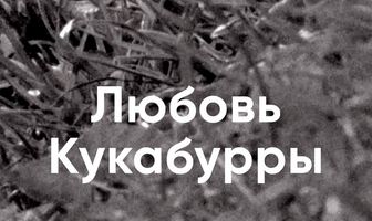 Любовь Кукабурры