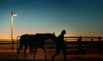 Положитесь на Пита