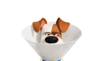 Тайная жизнь домашних животных 2