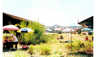 Старая уходящая мечта