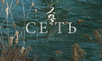 Сеть