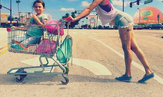 Проект Флорида