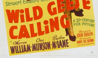 Зов диких гусей