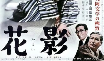 Тень цветка