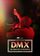 Музыкальная шкатулка. DMX: Не пытайся понять