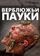 Верблюжьи пауки