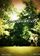 Лагерь Бельведере