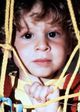 Джошуа Шэликар