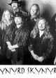 Lynyrd Skynyrd