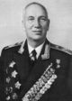Николай Воронов