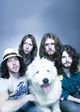 The Sheepdogs