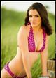 Nicolette Vincelli