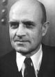 Мирко Елюшич