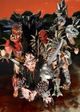 Gwar