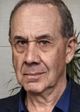 Владимир Дубровин